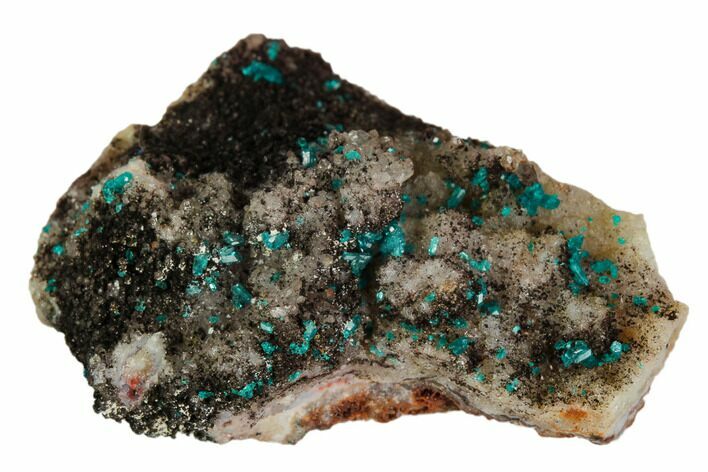Dioptase Crystals on Quartz - Namibia #126937